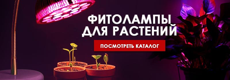 Фитолампы для растений